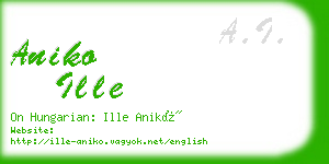 aniko ille business card